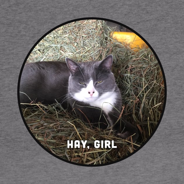 Hay, Girl by Jen Kirkman